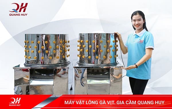 Máy vặt lông gà Quang Huy