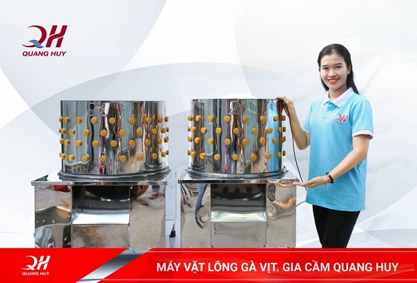 Quang Huy luôn là công ty hàng đầu cho bạn về máy vặt lông gà và núm cao su