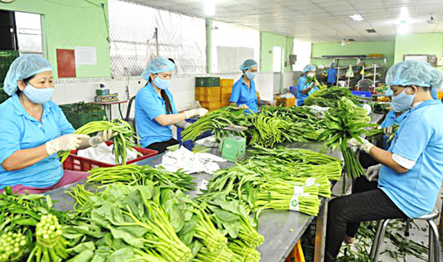 Yếu tố an to&agrave;n vệ sinh thực phẩm 